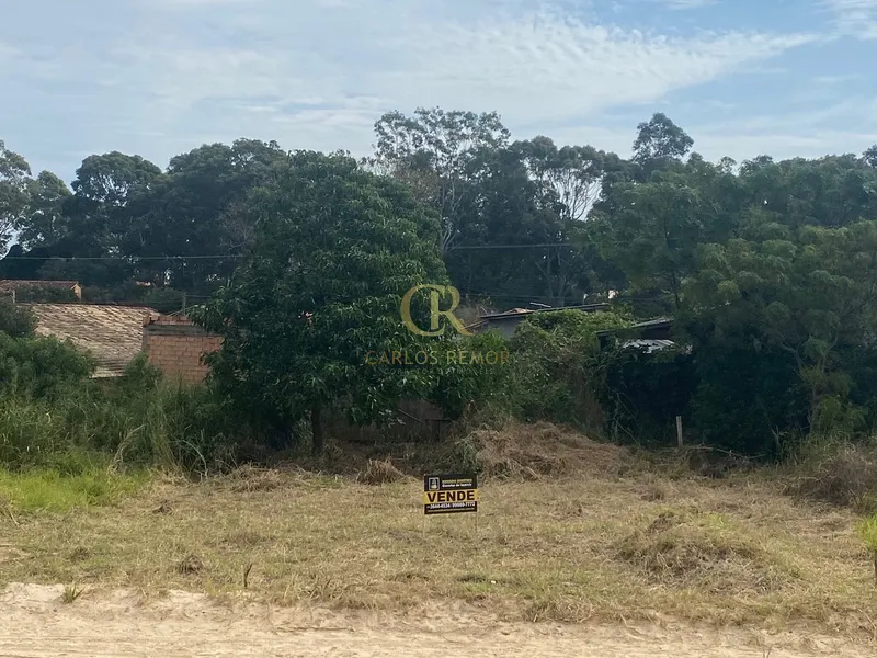 Terreno Escriturado no Bairro Mato Alto: 10ª foto da galeria de imagens do imóvel
