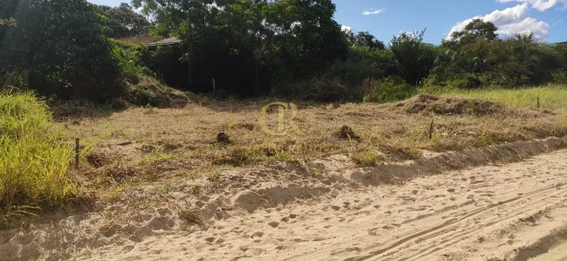 Terreno Escriturado no Bairro Mato Alto: 6ª foto da galeria de imagens do imóvel