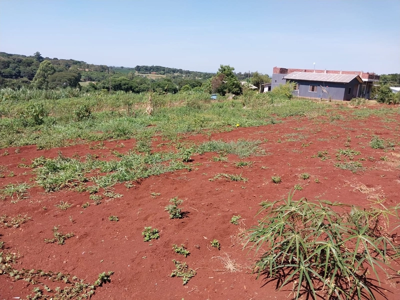Área Rural A Venda no Interior do Bormam: 6ª foto da galeria de imagens do imóvel