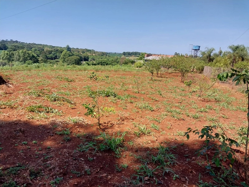Área Rural A Venda no Interior do Bormam: 9ª foto da galeria de imagens do imóvel