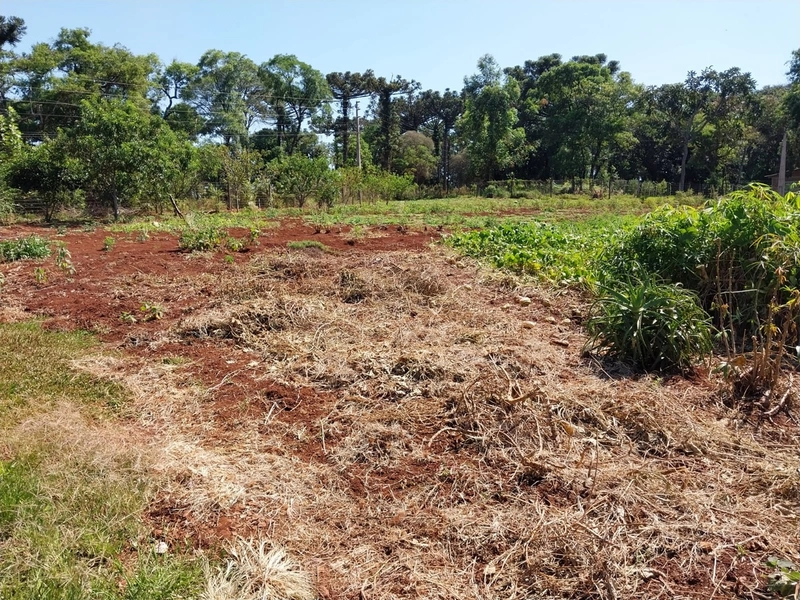 Área Rural A Venda no Interior do Bormam: 8ª foto da galeria de imagens do imóvel