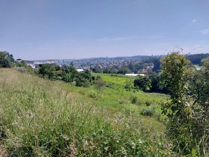 Área Urbana a Venda Chapecó: 6ª foto da galeria de imagens do imóvel