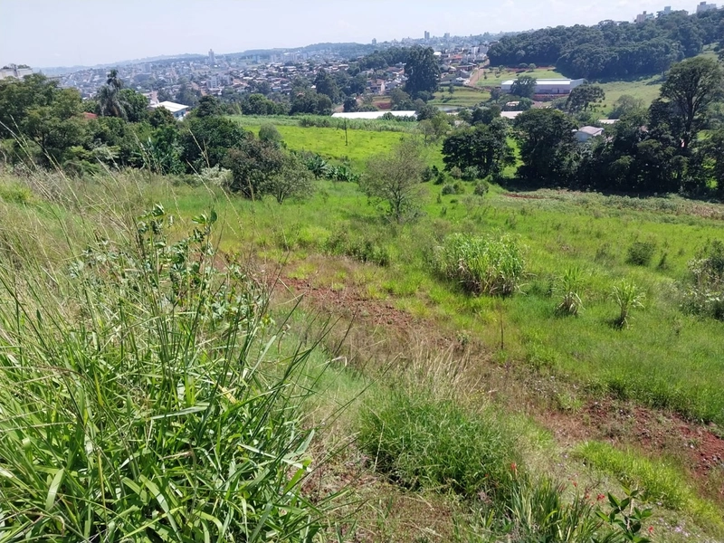 Área Urbana a Venda Chapecó: 3ª foto da galeria de imagens do imóvel
