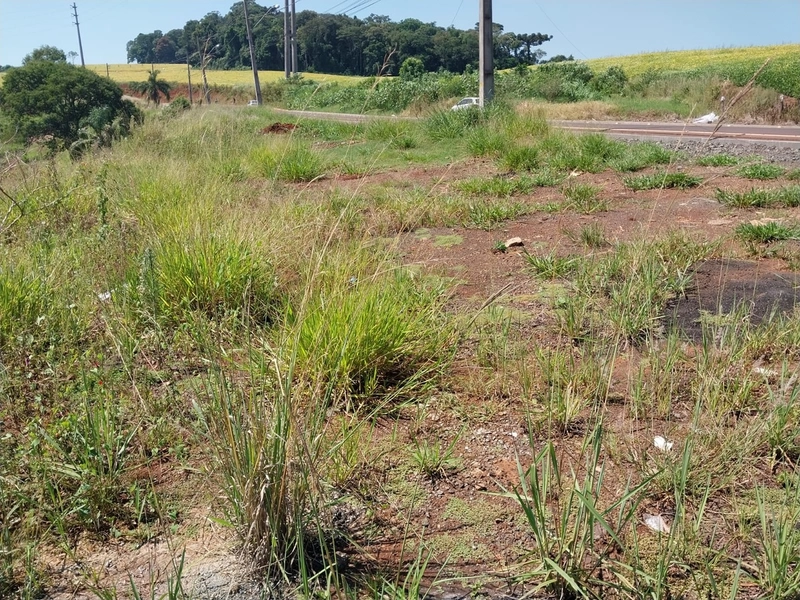 Área Urbana a Venda Chapecó: 9ª foto da galeria de imagens do imóvel