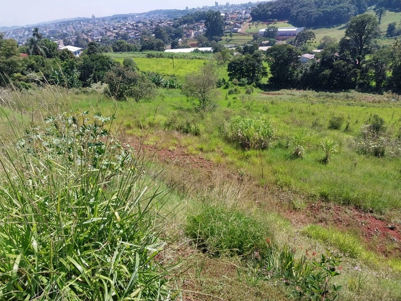 Área Urbana a Venda Chapecó: 4ª foto da galeria de imagens do imóvel