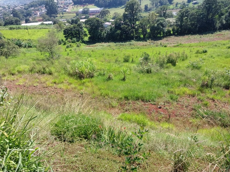Área Urbana a Venda Chapecó: 1ª foto da galeria de imagens do imóvel