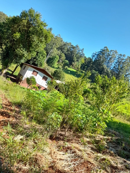 Lindo Sítio a Venda Sede Fiqueira: 9ª foto da galeria de imagens do imóvel