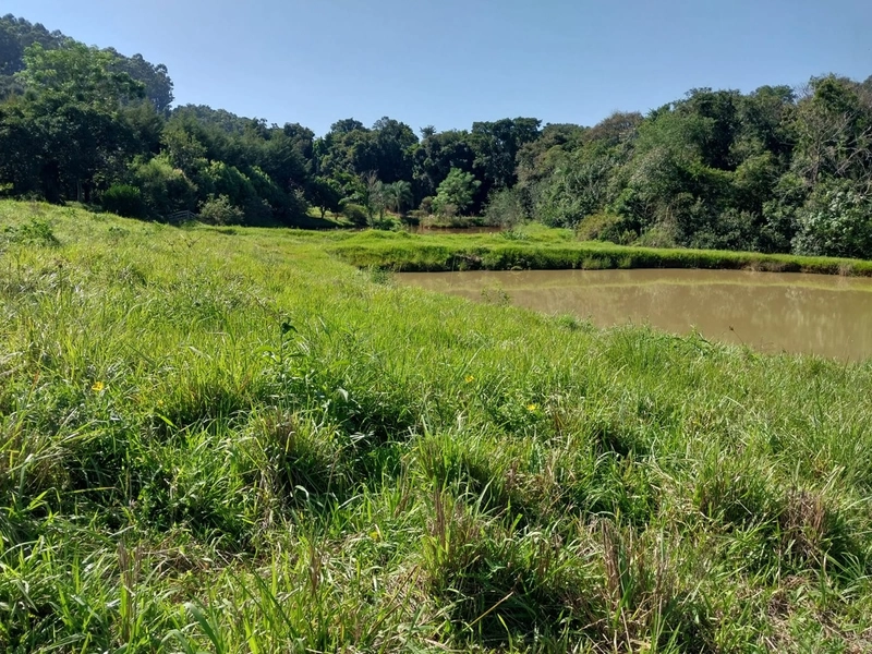 Área Rural a Venda em Águas de Chapecó: 7ª foto da galeria de imagens do imóvel