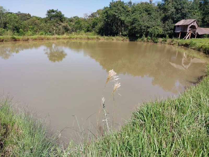 Área Rural a Venda em Águas de Chapecó: 5ª foto da galeria de imagens do imóvel