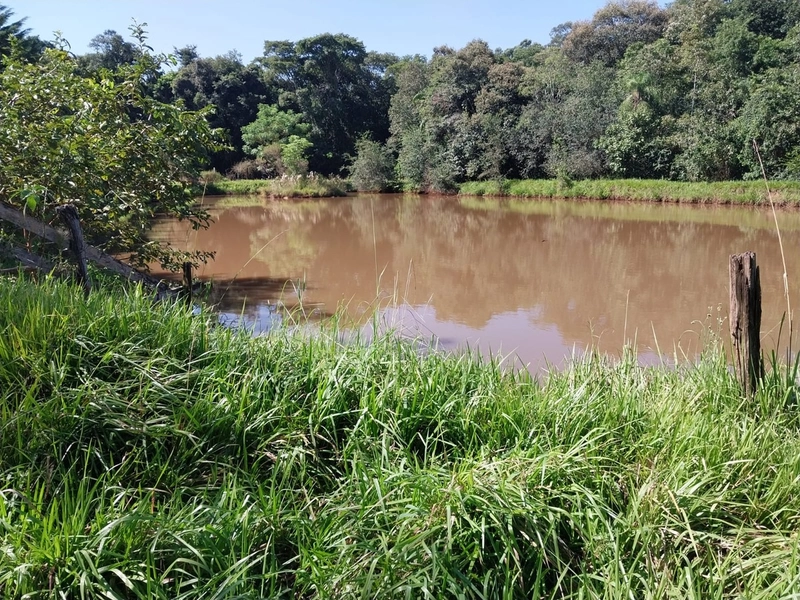 Área Rural a Venda em Águas de Chapecó: 9ª foto da galeria de imagens do imóvel