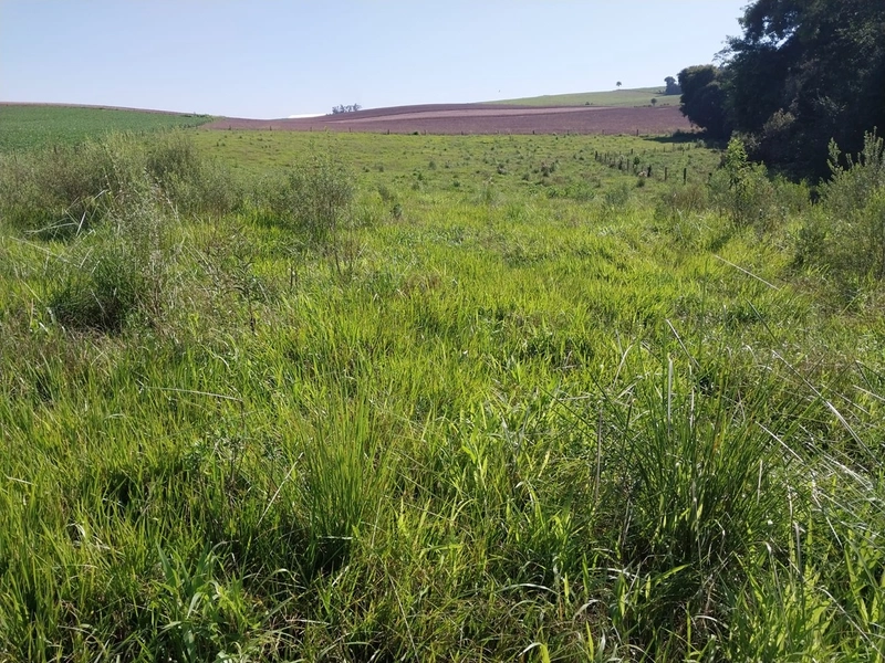Área Rural a Venda em Águas de Chapecó: 6ª foto da galeria de imagens do imóvel