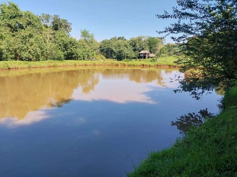 Área Rural a Venda em Águas de Chapecó: 1ª foto da galeria de imagens do imóvel