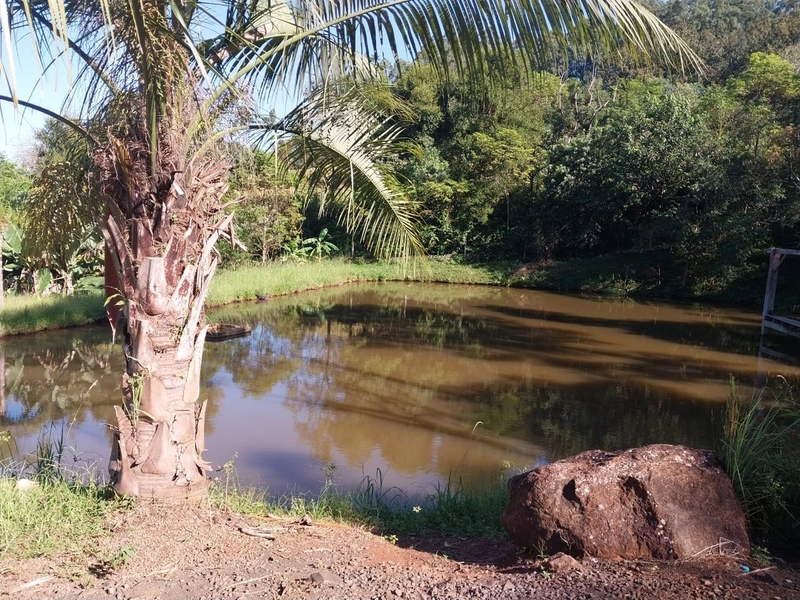 Chácara a Venda ou Permuta Imóveis em Chapecó: 6ª foto da galeria de imagens do imóvel