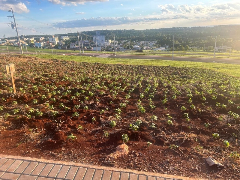 Terreno à Venda no Bairro Vederti - 360m²: 1ª foto da galeria de imagens do imóvel