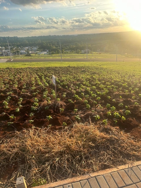 Terreno à Venda no Bairro Vederti - 360m²: 2ª foto da galeria de imagens do imóvel