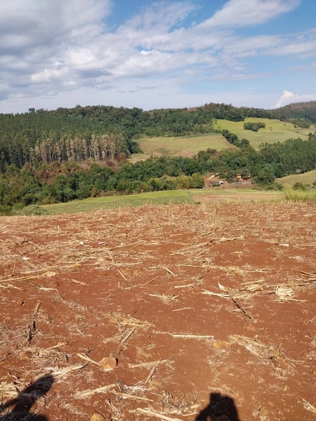 Propriedade Rural à Venda – Nova Itaberaba/SC: 16ª foto da galeria de imagens do imóvel