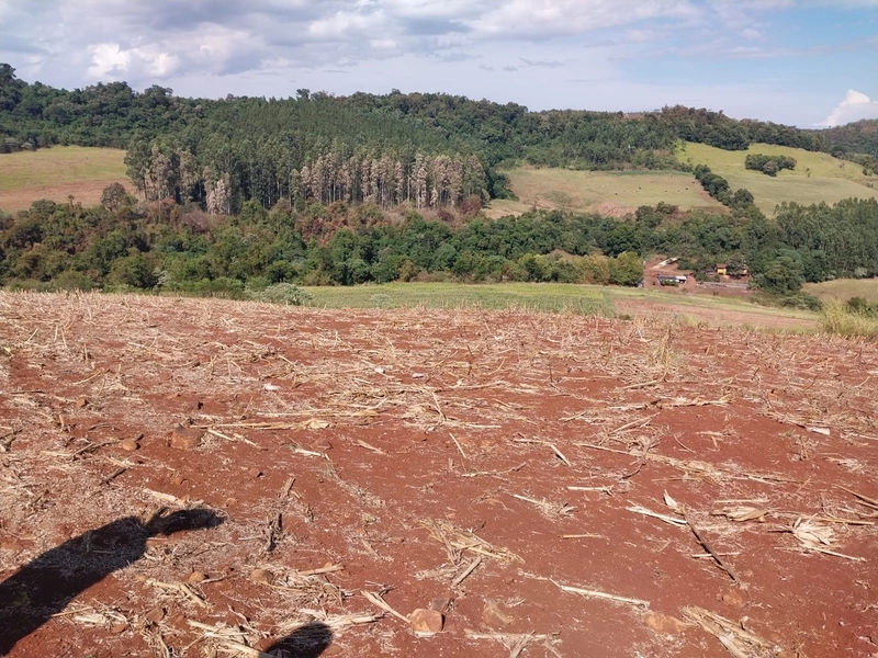 Propriedade Rural à Venda – Nova Itaberaba/SC: 10ª foto da galeria de imagens do imóvel