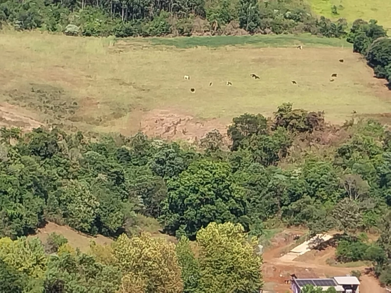 Propriedade Rural à Venda – Nova Itaberaba/SC: 1ª foto da galeria de imagens do imóvel