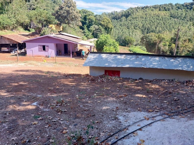 Propriedade Rural à Venda – Nova Itaberaba/SC: 4ª foto da galeria de imagens do imóvel