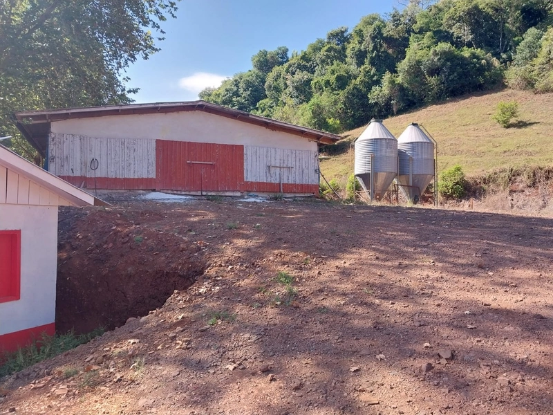 Propriedade Rural à Venda – Nova Itaberaba/SC: 18ª foto da galeria de imagens do imóvel