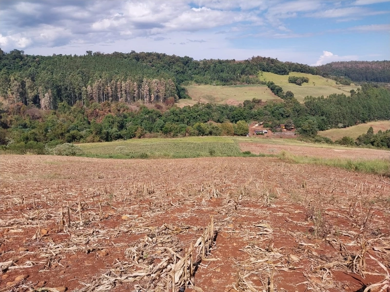 Propriedade Rural à Venda – Nova Itaberaba/SC: 9ª foto da galeria de imagens do imóvel
