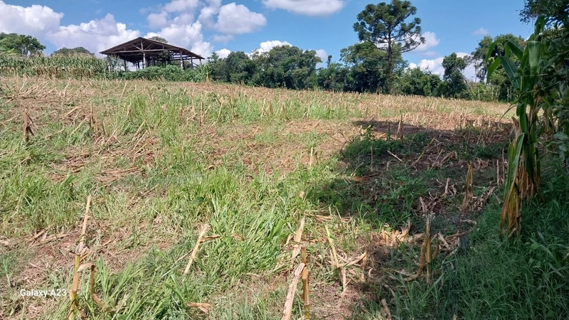 Propriedade Rural à Venda – Xaxim/SC: 3ª foto da galeria de imagens do imóvel