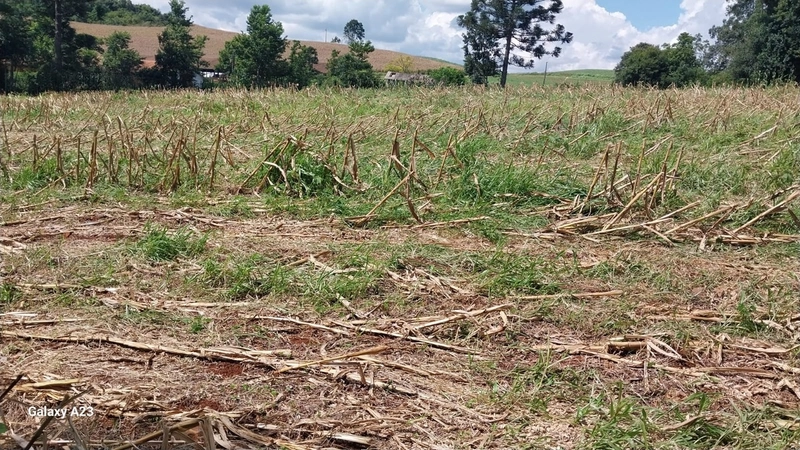 Propriedade Rural à Venda – Xaxim/SC: 5ª foto da galeria de imagens do imóvel