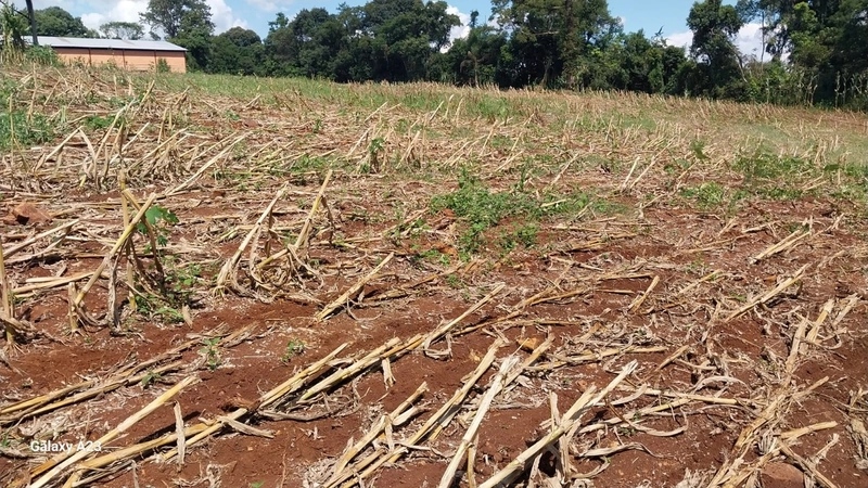 Propriedade Rural à Venda – Xaxim/SC: 8ª foto da galeria de imagens do imóvel