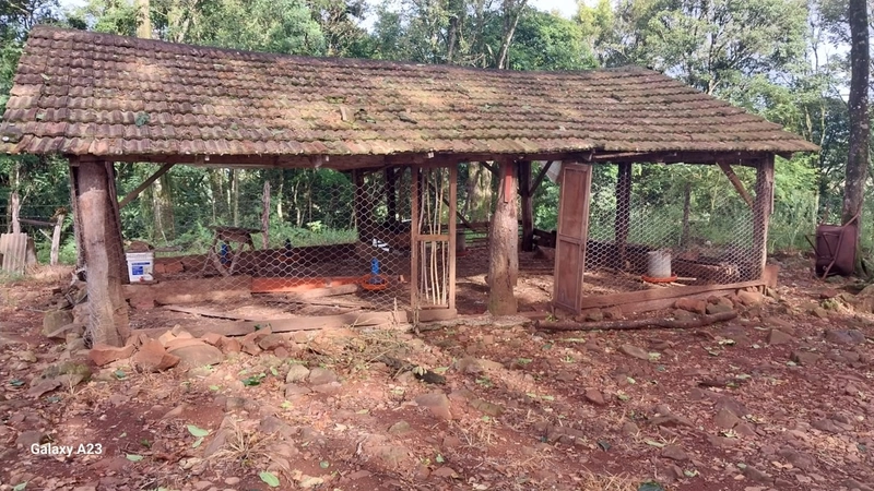 Área de Terra à Venda – Linha Parafusinho (Próximo a Planalto Alegre): 16ª foto da galeria de imagens do imóvel