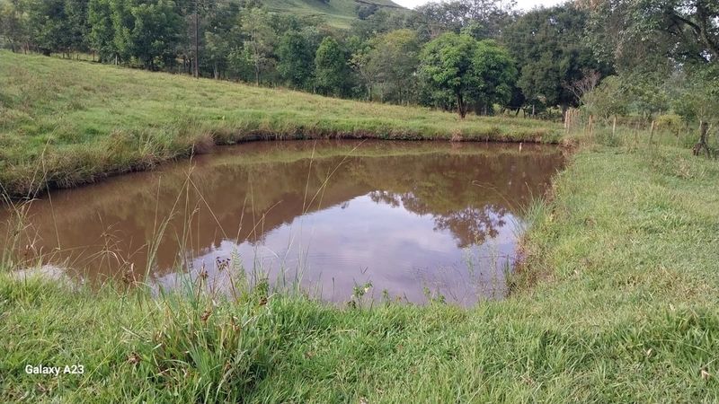 Área de Terra à Venda – Linha Parafusinho (Próximo a Planalto Alegre): 10ª foto da galeria de imagens do imóvel