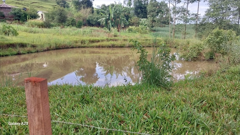 Área de Terra à Venda – Linha Parafusinho (Próximo a Planalto Alegre): 2ª foto da galeria de imagens do imóvel