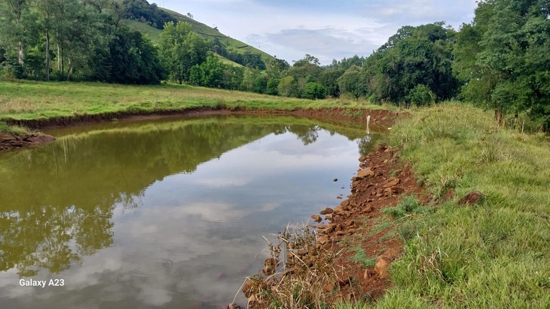 Área de Terra à Venda – Linha Parafusinho (Próximo a Planalto Alegre): 7ª foto da galeria de imagens do imóvel
