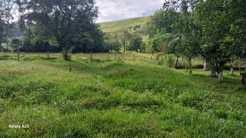 Área de Terra à Venda – Linha Parafusinho (Próximo a Planalto Alegre): 1ª foto da galeria de imagens do imóvel