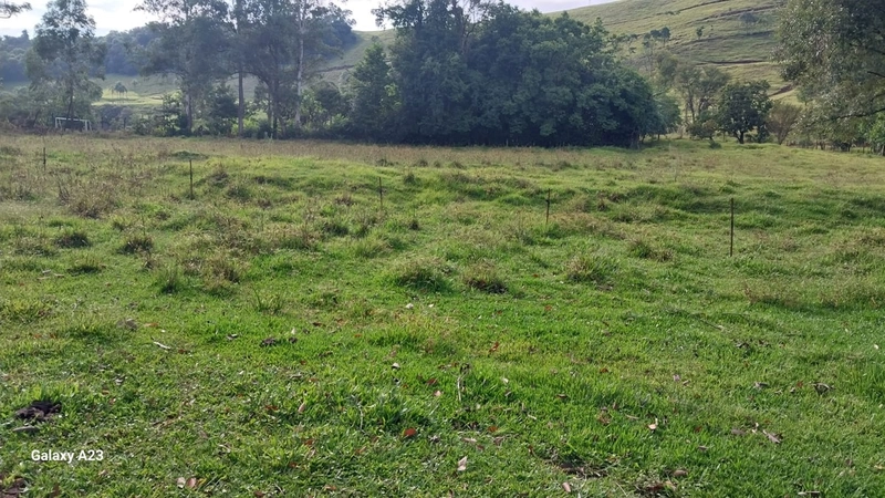 Área de Terra à Venda – Linha Parafusinho (Próximo a Planalto Alegre): 20ª foto da galeria de imagens do imóvel