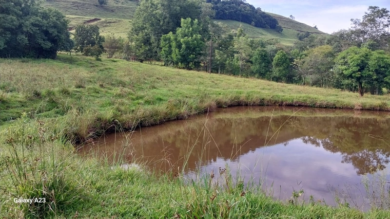 Área de Terra à Venda – Linha Parafusinho (Próximo a Planalto Alegre): 8ª foto da galeria de imagens do imóvel