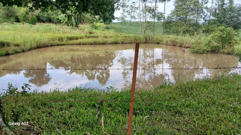 Área de Terra à Venda – Linha Parafusinho (Próximo a Planalto Alegre): 12ª foto da galeria de imagens do imóvel