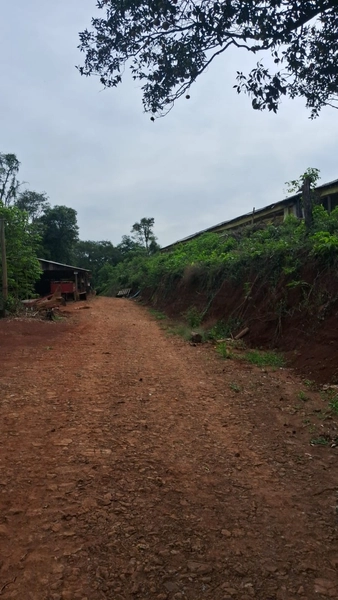 Propriedade Rural à Venda em Caxambu do Sul – SC: 5ª foto da galeria de imagens do imóvel