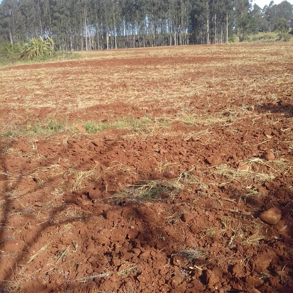 Área de Terra à Venda – Coronel Freitas/SC: 11ª foto da galeria de imagens do imóvel