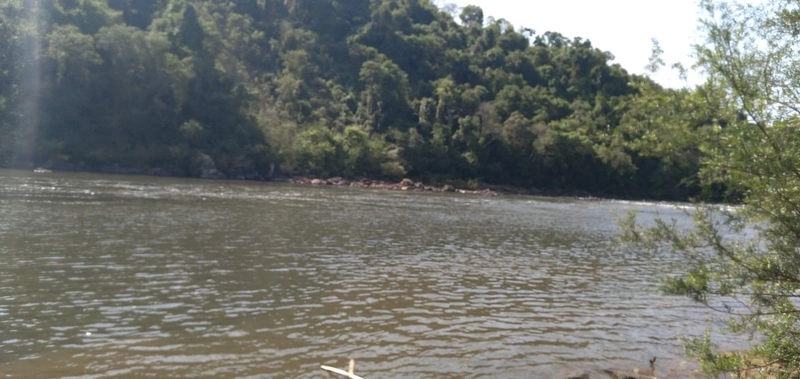Área de Terra à Venda – Coronel Freitas/SC: 5ª foto da galeria de imagens do imóvel