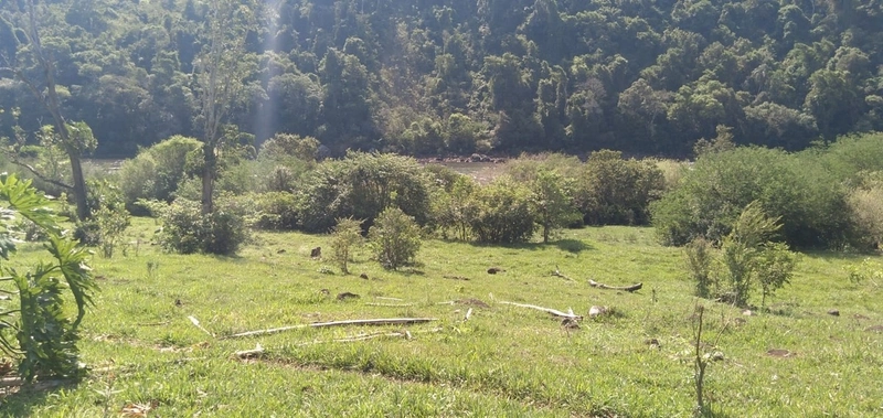 Área de Terra à Venda – Coronel Freitas/SC: 4ª foto da galeria de imagens do imóvel