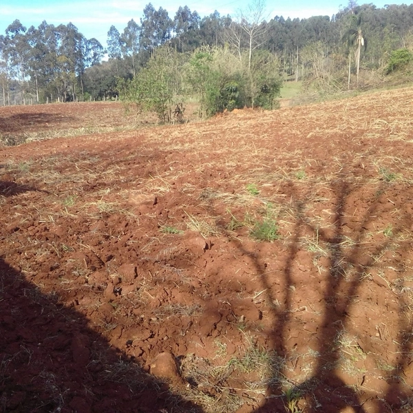 Área de Terra à Venda – Coronel Freitas/SC: 10ª foto da galeria de imagens do imóvel