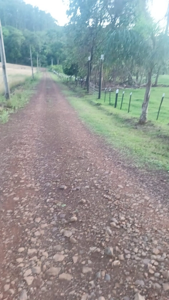 Imóvel Rural à Venda – Linha Vila Jardim | Jardinópolis/SC: 14ª foto da galeria de imagens do imóvel