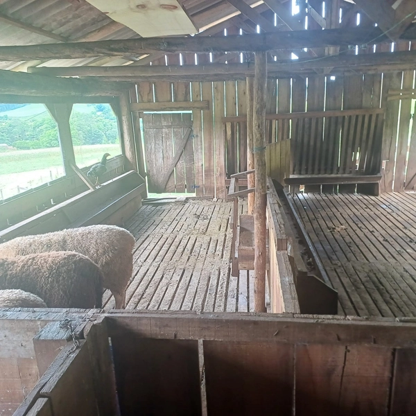 Imóvel Rural à Venda – Linha Vila Jardim | Jardinópolis/SC: 15ª foto da galeria de imagens do imóvel