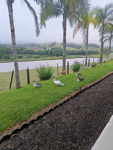 Imóvel Rural à Venda – Linha Vila Jardim | Jardinópolis/SC: 2ª foto da galeria de imagens do imóvel