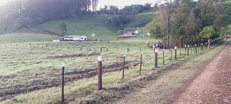 Imóvel Rural à Venda – Linha Vila Jardim | Jardinópolis/SC: 5ª foto da galeria de imagens do imóvel