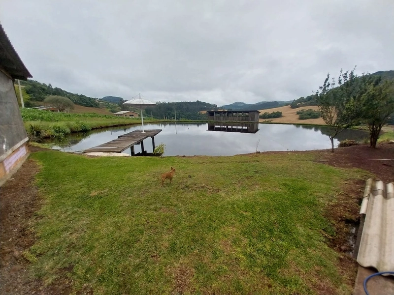 LINDA PROPRIEDADE A VENDA . BARÃO DE COTEGIPE , RS: 7ª foto da galeria de imagens do imóvel