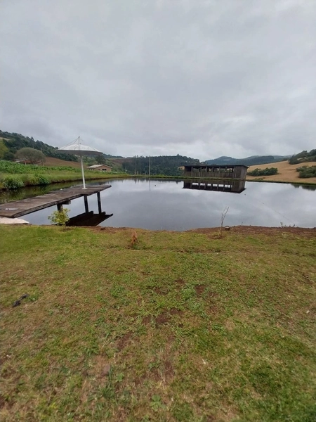 LINDA PROPRIEDADE A VENDA . BARÃO DE COTEGIPE , RS: 6ª foto da galeria de imagens do imóvel