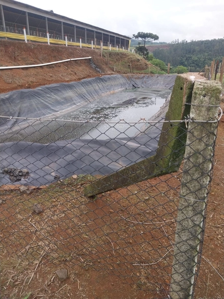 LINDA PROPRIEDADE A VENDA . BARÃO DE COTEGIPE , RS: 20ª foto da galeria de imagens do imóvel