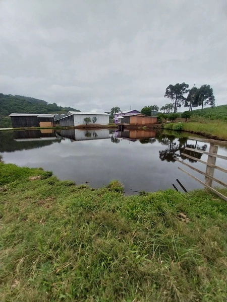 LINDA PROPRIEDADE A VENDA . BARÃO DE COTEGIPE , RS: 8ª foto da galeria de imagens do imóvel