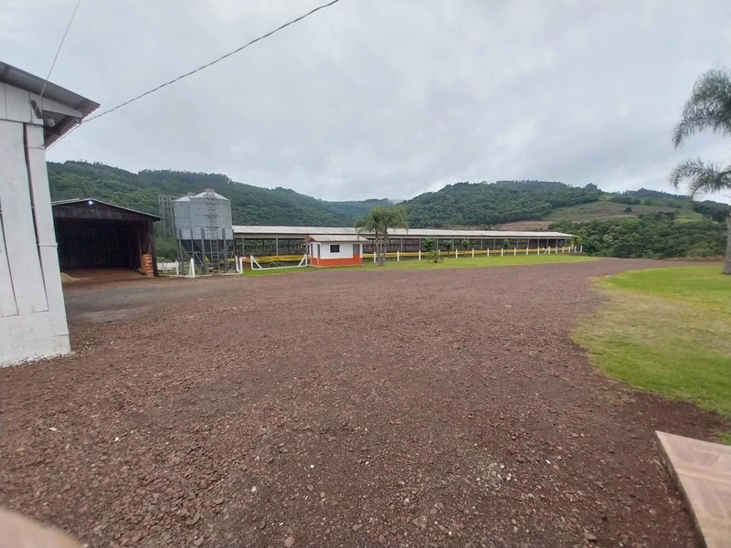 LINDA PROPRIEDADE A VENDA . BARÃO DE COTEGIPE , RS: 13ª foto da galeria de imagens do imóvel